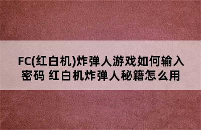 FC(红白机)炸弹人游戏如何输入密码 红白机炸弹人秘籍怎么用